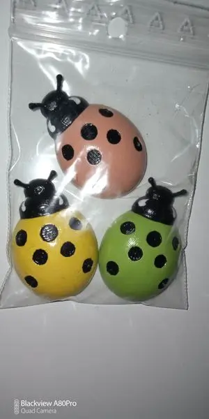 Magnet pour frigo Coccinelle (le lot de 3)